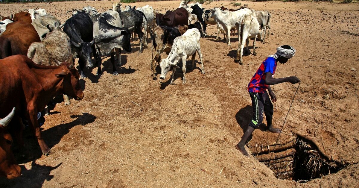 Nine Killed In Fighting In Sudan's Darfur