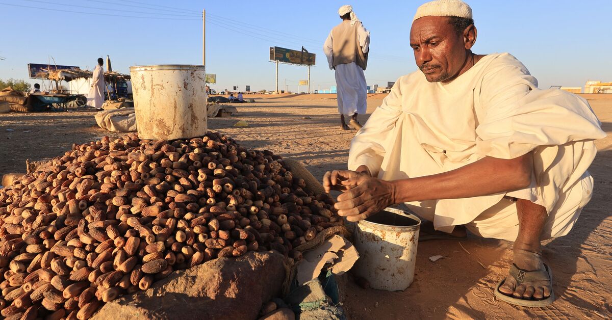 Conflict in Sudan, GCC's food basket, rattles Gulf investments