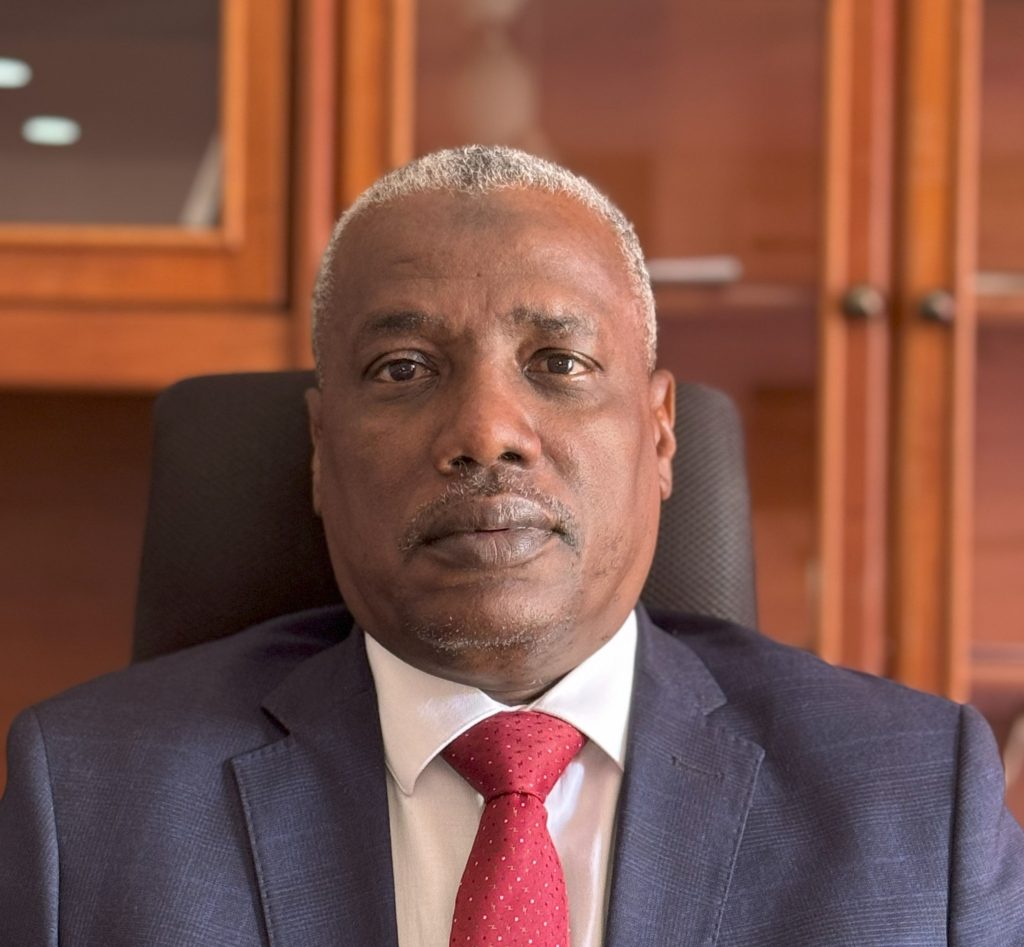 Brazil&ndash;Sudan: A Global South partnership