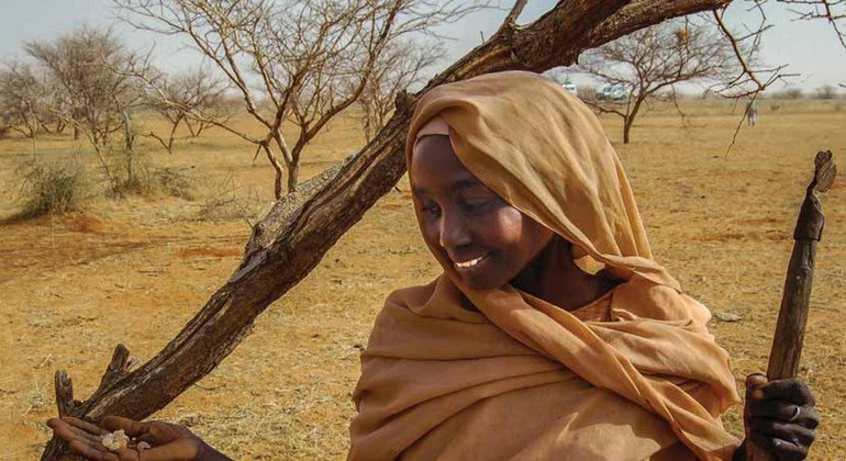 Looted gold and gum arabic are bankrolling Sudan's war, UN warns